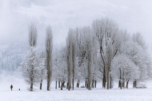 关于描写节气小雪的优美句子（图）(图2)