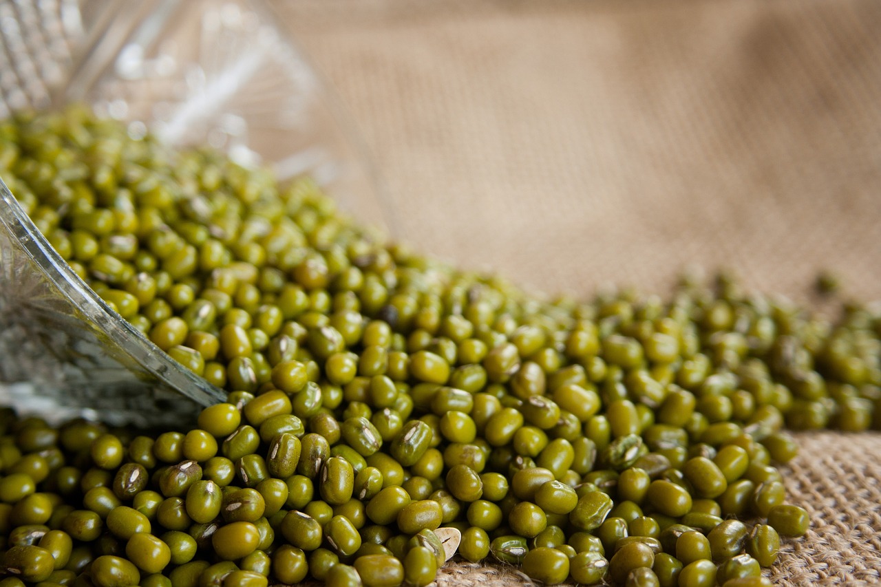 mung-beans-166996_1280.jpg