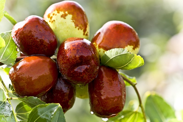 jujube-931587_640.jpg