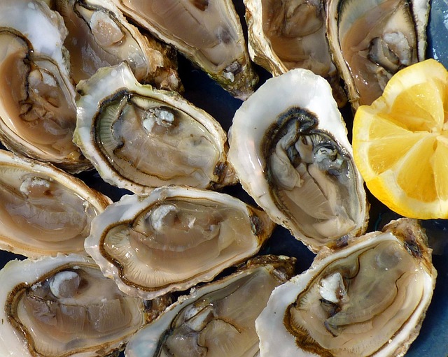 oysters-1958668_640.jpg