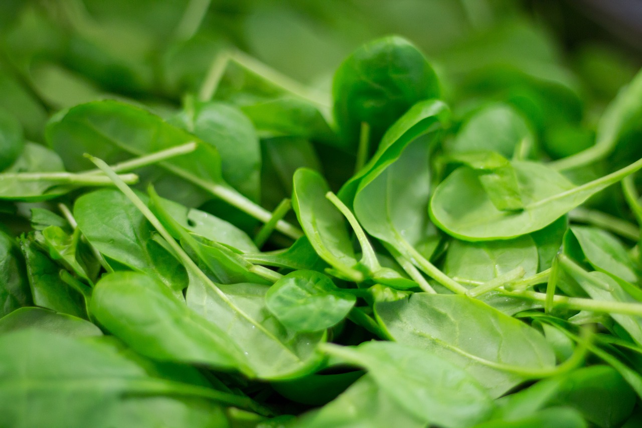 spinach-2216967_1280.jpg