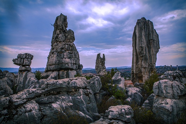 stone-forest-6625534_640.jpg