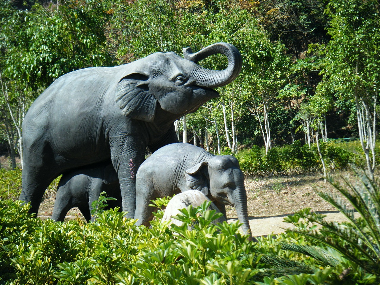 75f80ed3d531bc9efb97db22fc6447f1_xishuangbanna-1898787_1280.jpg