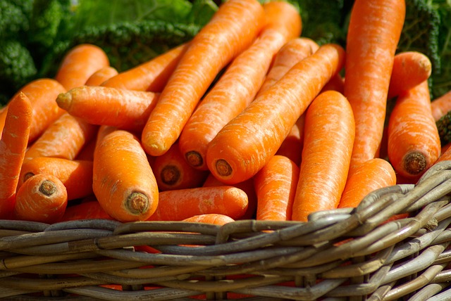 da73cafc2c24e762bbf3d44a12297c97_carrots-673184_640.jpg