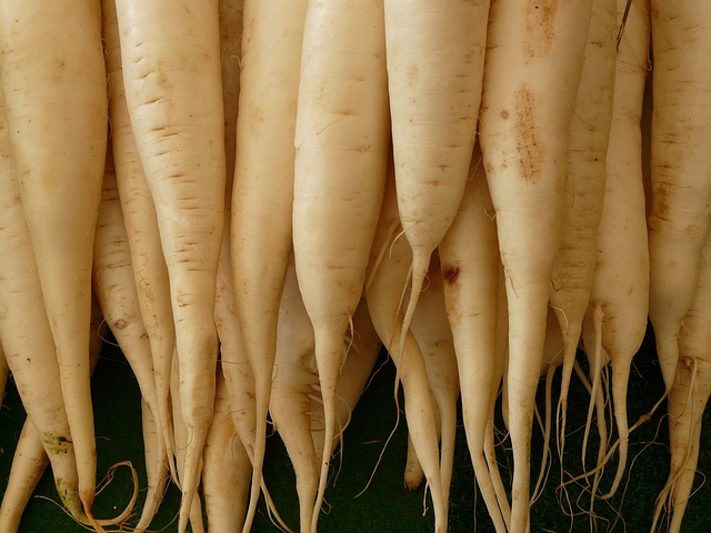 67acbe420578204170c273d48729d9de_white-radish-5756_640.jpg